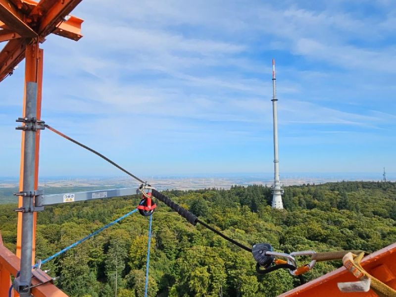 signal 2025 09 21 122958 signal 2025 09 21 122958