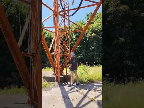 vid wa0008