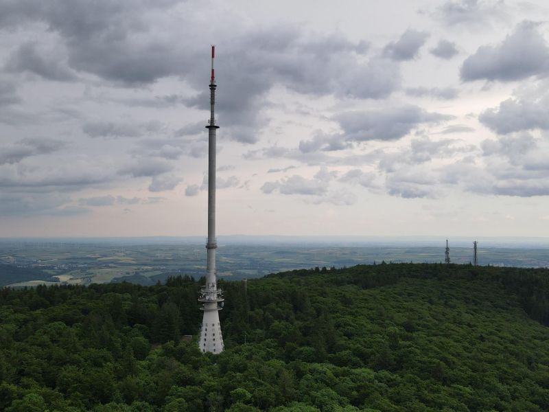 signal 2025 05 31 21 50 41 607