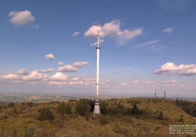 Einsätze Frühjahr 2026 (April/Mai)