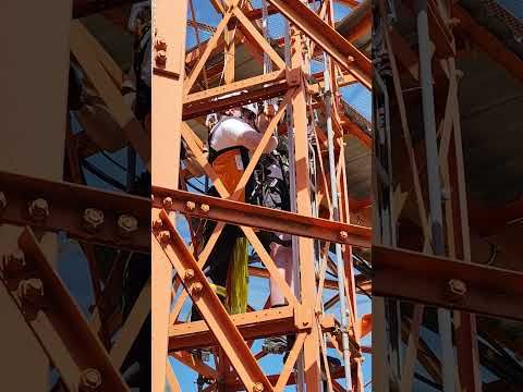vid 20260704