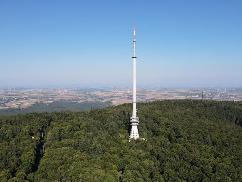 signal 2025 08 09 19 09 28 859
